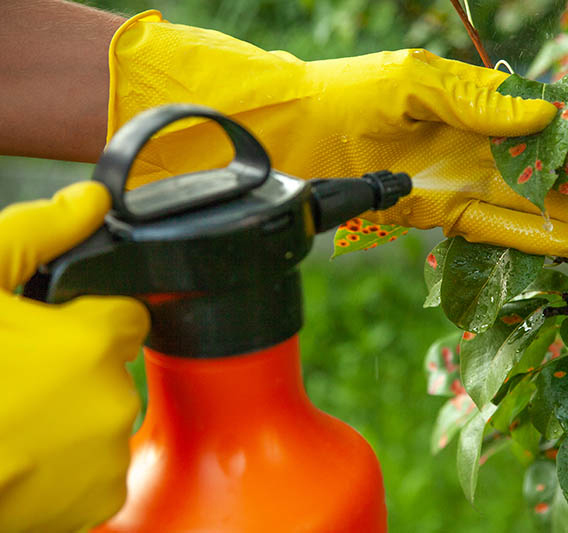 Fungicides