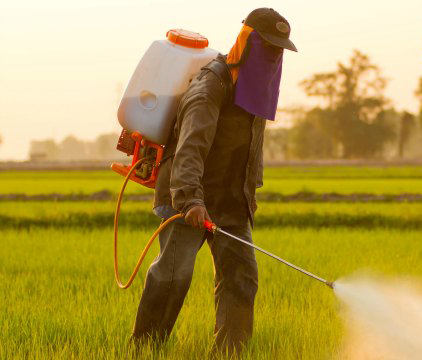Insecticides