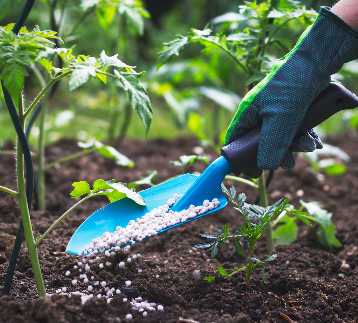 Foliar Fertilizer