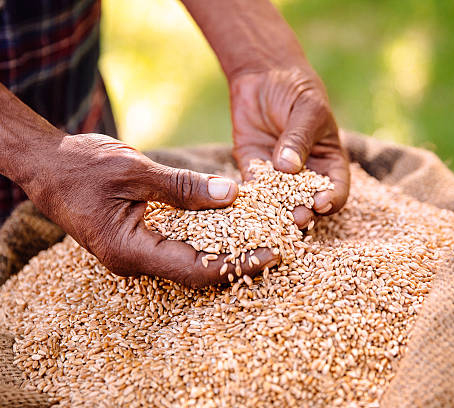 Grain Protectors